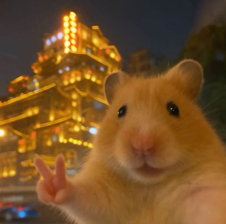 Reviewer 1